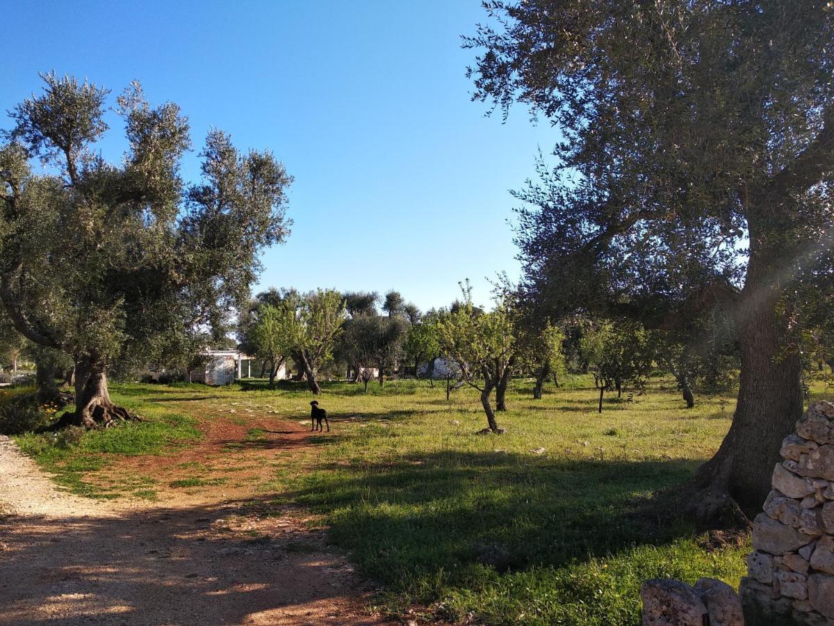Piccolo Trullo Ostunese Le Jardin De Sophie' Ostuni Dış mekan fotoğraf