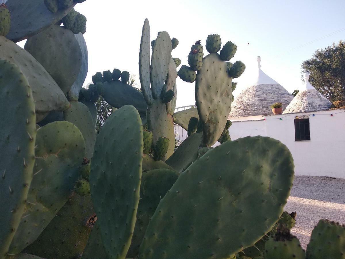 Piccolo Trullo Ostunese Le Jardin De Sophie' Ostuni Dış mekan fotoğraf