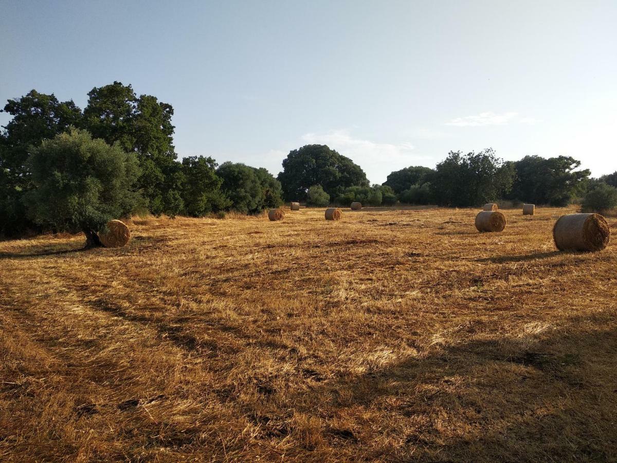 Piccolo Trullo Ostunese Le Jardin De Sophie' Ostuni Dış mekan fotoğraf