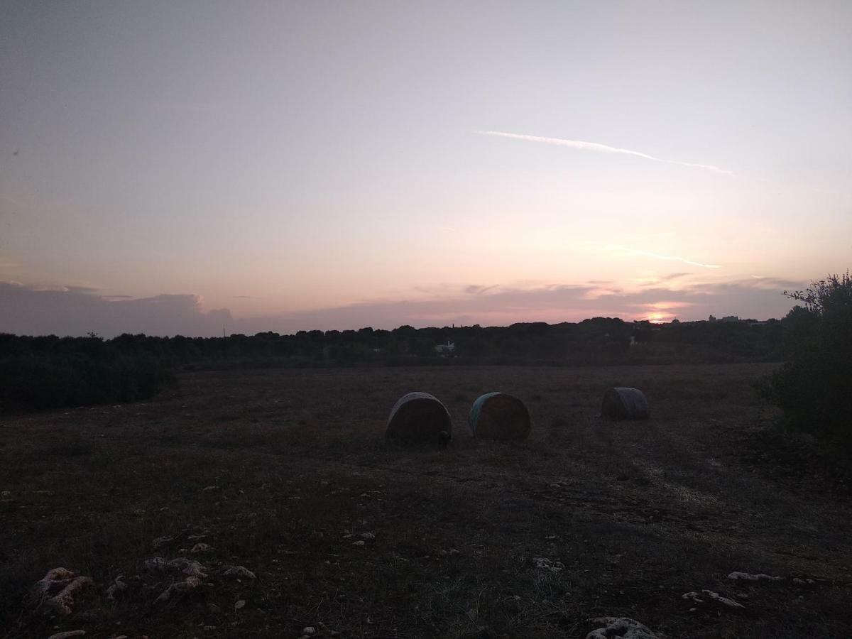Piccolo Trullo Ostunese Le Jardin De Sophie' Ostuni Dış mekan fotoğraf